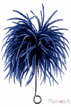 Plumet autruche avec anneau - ht 18-20 cm - bleu nuit